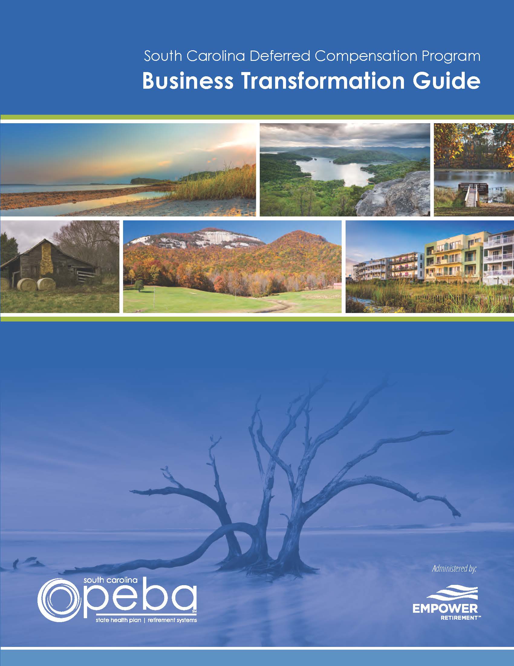 South Carolina DCP Brochure